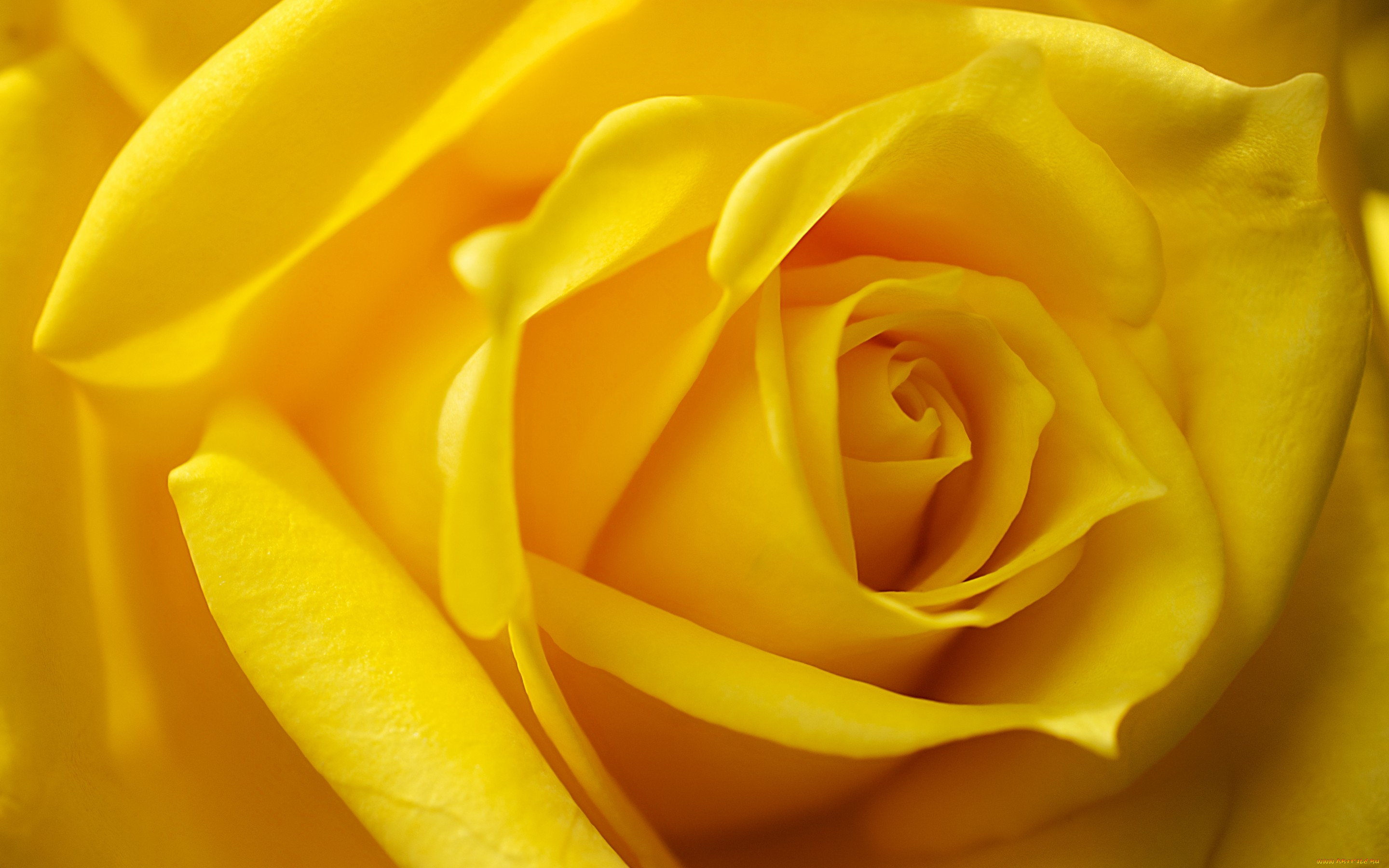 , , , , , 